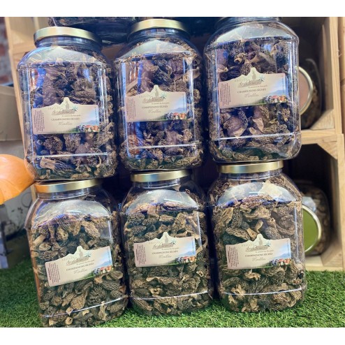 Morilles noires extra (Morchella conica) avec pied | Mycellium champignon de paris | Vente en ligne