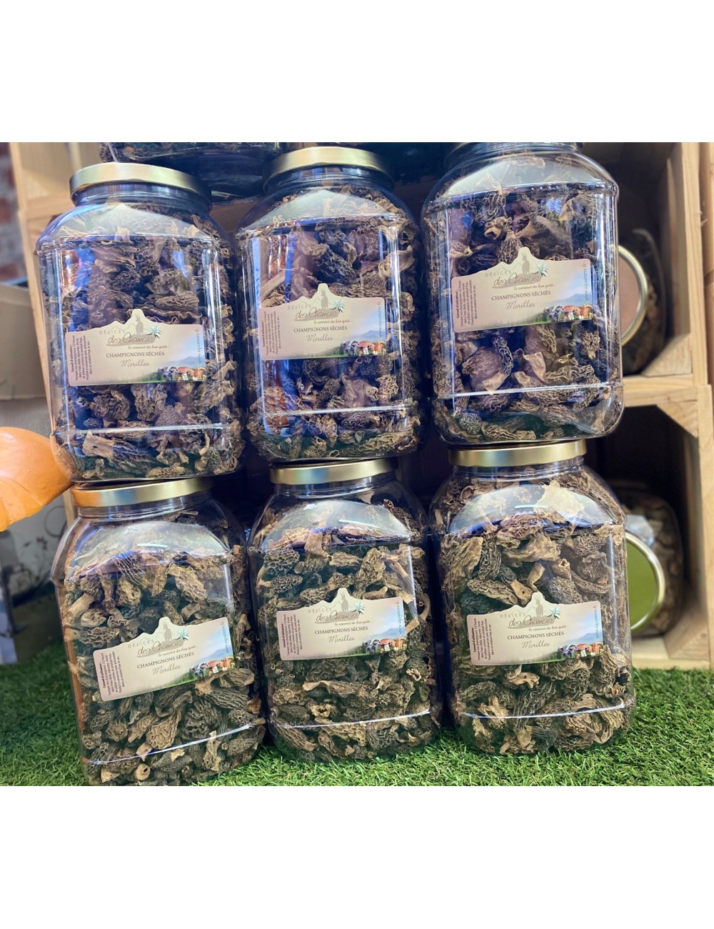 Morilles noires extra (Morchella conica) avec pied | Mycellium champignon de paris | Vente en ligne