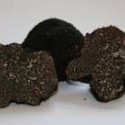 Truffe noire surgelée