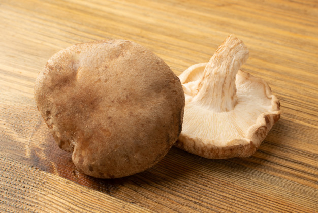 Champignon shiitake